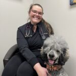 Female veterinarian posing next to a large gray poodle